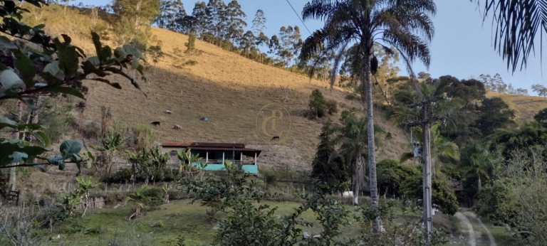 Imagem Chácara com 3 Quartos à Venda, em Morro Grande - São Luíz Do Paraitinga Imagem Chácara com 3 Quartos à Venda, em Morro Grande - São Luíz Do Paraitinga