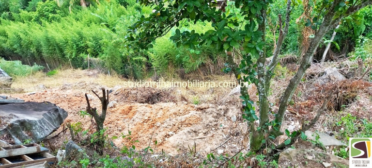 Imagem Terreno à Venda, 1.500 m² em Armação - Ilhabela Imagem Terreno à Venda, 1.500 m² em Armação - Ilhabela