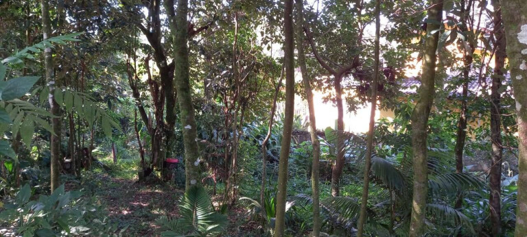 Terreno à Venda, 1 m² em Santa Inês - Caieiras