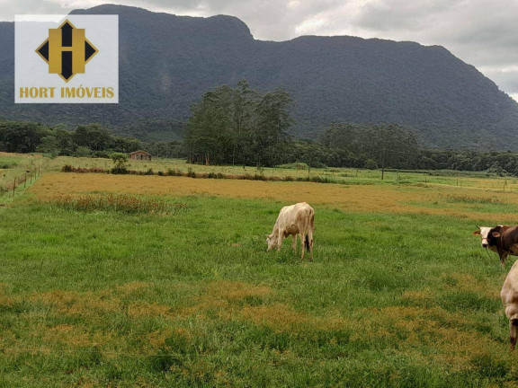 Imagem Chácara com 2 Quartos à Venda, 50.001 m² em Vila Nova - Joinville Imagem Chácara com 2 Quartos à Venda, 50.001 m² em Vila Nova - Joinville