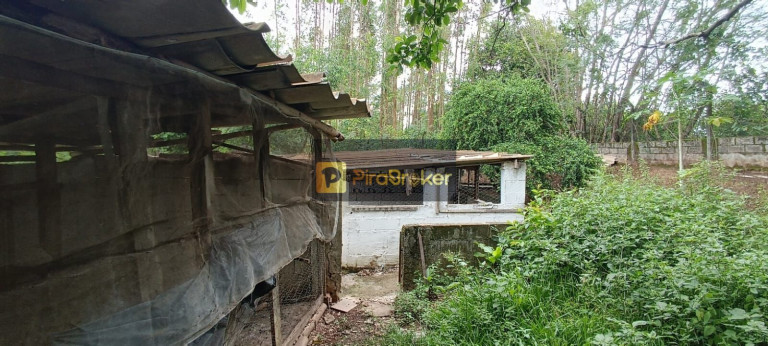 Imagem Imóvel com 7 Quartos à Venda, 38.588 m² em Santa Luzia - Charqueada