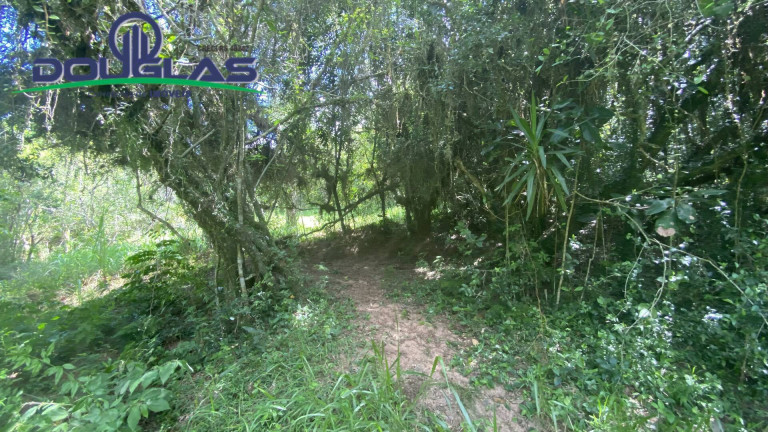 Imagem Terreno à Venda, 5.000 m² em Viamão Imagem Terreno à Venda, 5.000 m² em Viamão