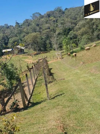 Imagem Imóvel com 4 Quartos à Venda, 46.000 m² em Freguesia Dos Laras - Campo Magro