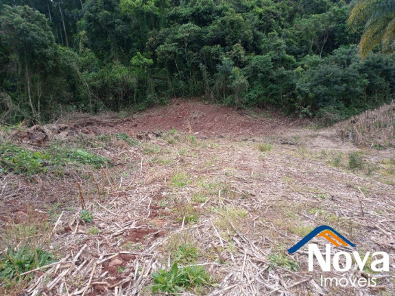 Imagem Imóvel à Venda, em Pinhal Alto - Nova Petrópolis Imagem Imóvel à Venda, em Pinhal Alto - Nova Petrópolis