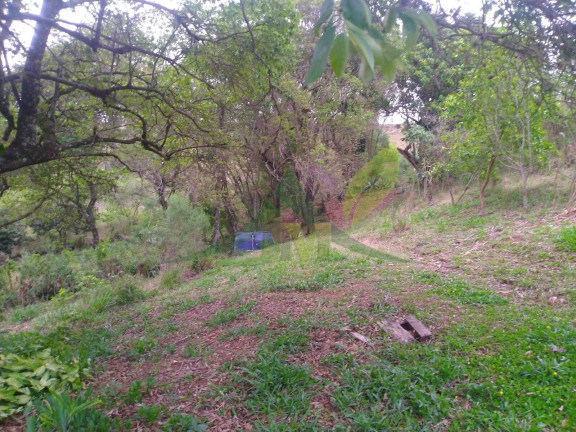 Imagem Chácara com 4 Quartos à Venda, 2.000 m² em Vila Mota - Bragança Paulista Imagem Chácara com 4 Quartos à Venda, 2.000 m² em Vila Mota - Bragança Paulista