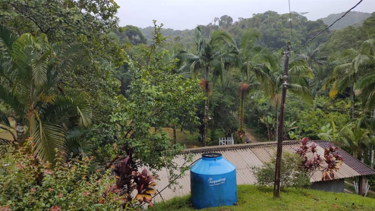 Imagem Imóvel à Venda,  em Santa Rita - Miracatu
