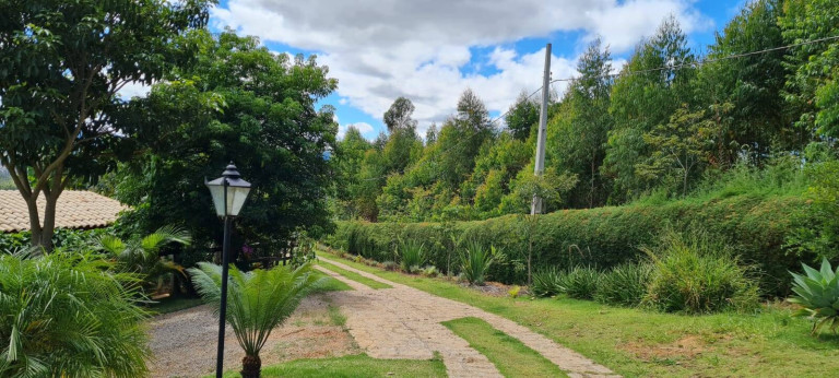 Imagem Chácara com 3 Quartos à Venda, 24.000 m² em Pedra Bela