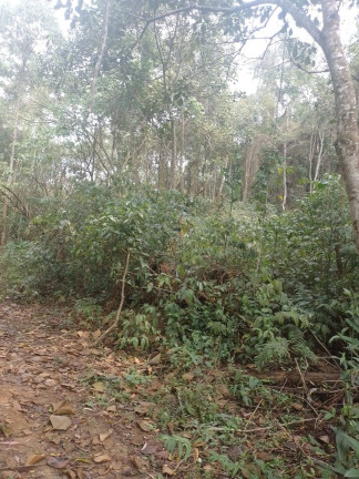 Terreno à Venda, 1.390 m² em Luiz Fagundes - Mairiporã