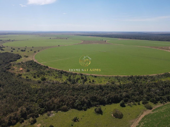 Imagem Imóvel com 3 Quartos à Venda, 5.290 m² em Zona Rural - Britânia Imagem Imóvel com 3 Quartos à Venda, 5.290 m² em Zona Rural - Britânia