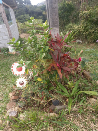 Imagem Imóvel com 2 Quartos à Venda, em Ribeirão De Imaruí - Imaruí Imagem Imóvel com 2 Quartos à Venda, em Ribeirão De Imaruí - Imaruí
