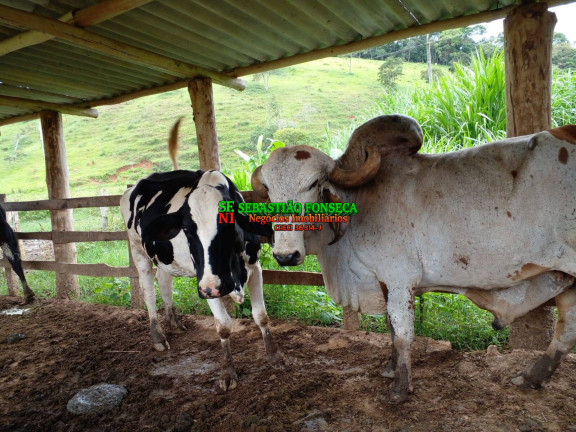 Chácara à Venda, 14 m² em área Rural De Guaratinguetá - Guaratinguetá