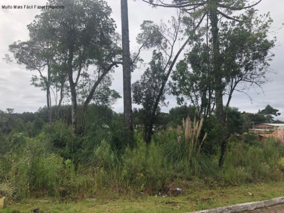 Terreno à Venda, 384 m² em Germânia - Nova Petrópolis
