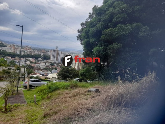 Imagem Imóvel à Venda, 530 m² em Córrego Grande - Florianópolis Imagem Imóvel à Venda, 530 m² em Córrego Grande - Florianópolis