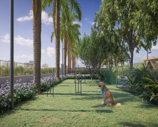 Imagem Apartamento com 4 Quartos à Venda, 320 m² em Jardim Nova Yorque - Araçatuba Imagem Apartamento com 4 Quartos à Venda, 320 m² em Jardim Nova Yorque - Araçatuba