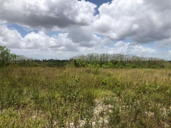 Imagem Terreno à Venda, 30.000 m² em Genaro - Dias D'ávila Imagem Terreno à Venda, 30.000 m² em Genaro - Dias D'ávila