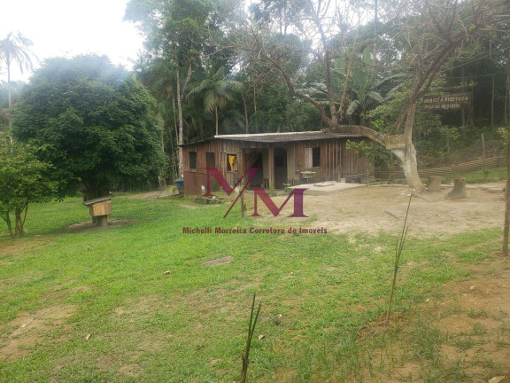Imagem Chácara com 3 Quartos à Venda, 8.000 m² em Alexandra - Paranaguá