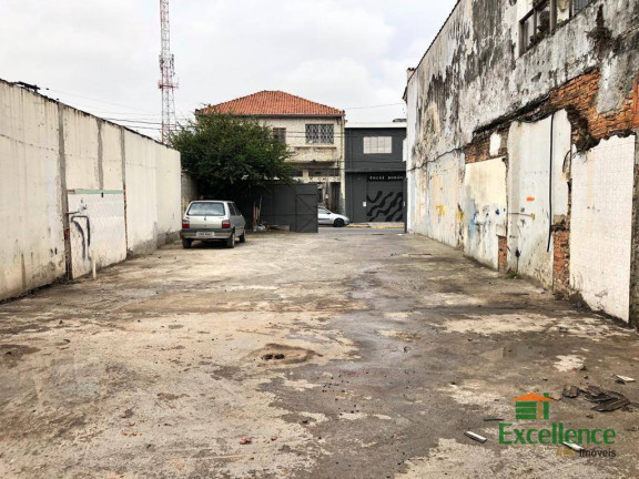 Imagem Terreno à Venda ou Locação, 270 m² em Vila Lúcia - São Paulo Imagem Terreno à Venda ou Locação, 270 m² em Vila Lúcia - São Paulo