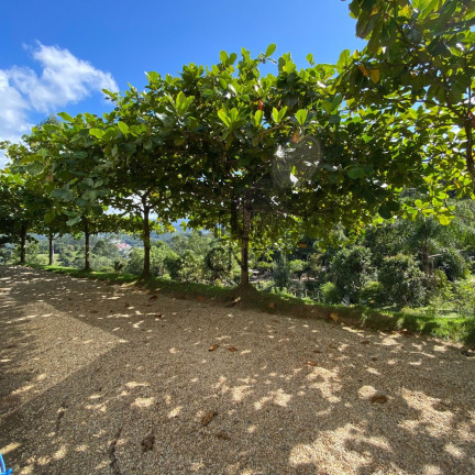 Imagem Imóvel com 6 Quartos à Venda, 65.000 m² em Tomaz Coelho - Brusque Imagem Imóvel com 6 Quartos à Venda, 65.000 m² em Tomaz Coelho - Brusque
