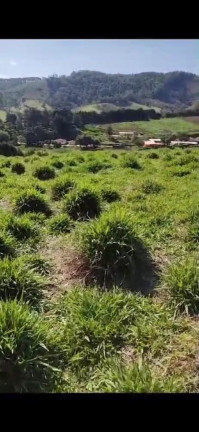 Imagem Terreno à Venda, 10.000 m² em Centro - Santa Branca Imagem Terreno à Venda, 10.000 m² em Centro - Santa Branca