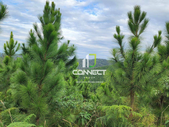 Imagem Fazenda à Venda, 4.477.000 m² em Zona Rural - Bocaiúva Do Sul Imagem Fazenda à Venda, 4.477.000 m² em Zona Rural - Bocaiúva Do Sul