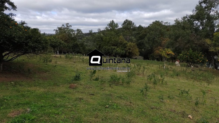 Imagem Imóvel com 4 Quartos à Venda, 80.000 m² em Colônia Santa Maria - Pelotas