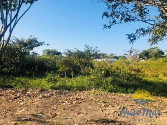 Imagem Terreno para Alugar ou Temporada, 233 m² em Jardim Luizamar Mirim - Itanhaém Imagem Terreno para Alugar ou Temporada, 233 m² em Jardim Luizamar Mirim - Itanhaém