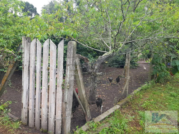 Imagem Chácara com 4 Quartos à Venda, 250 m² em Contenda - São José Dos Pinhais Imagem Chácara com 4 Quartos à Venda, 250 m² em Contenda - São José Dos Pinhais