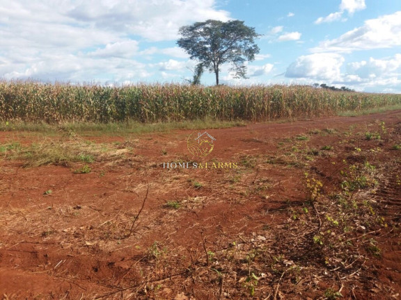 Imagem Imóvel com 3 Quartos à Venda, 57.000 m² em Zona Rural - Santana Do Araguaia Imagem Imóvel com 3 Quartos à Venda, 57.000 m² em Zona Rural - Santana Do Araguaia