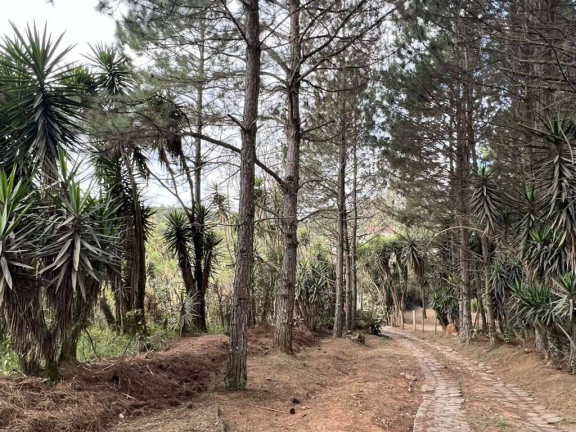 Imagem Terreno à Venda,  em Taboleiro Verde - Cotia
