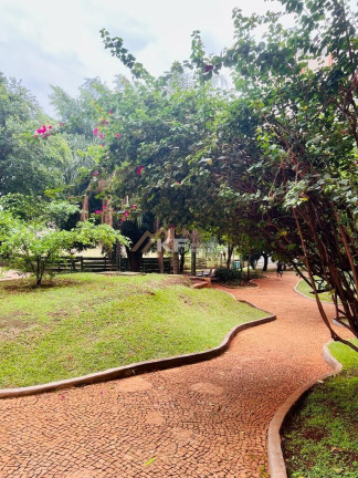 Imagem Apartamento com 3 Quartos à Venda, 68 m² em Lagoinha - Ribeirão Preto Imagem Apartamento com 3 Quartos à Venda, 68 m² em Lagoinha - Ribeirão Preto