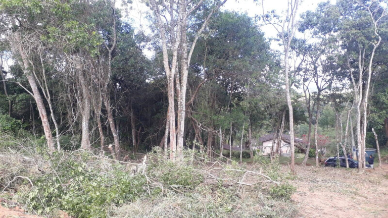 Imagem Terreno à Venda, 1.000 m² em Ortizes - Piedade Imagem Terreno à Venda, 1.000 m² em Ortizes - Piedade