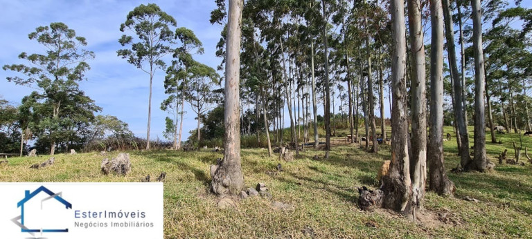 Imagem Imóvel para Alugar ou Temporada, 295.781 m² em Portal Da Serra - Santana De Parnaíba Imagem Imóvel para Alugar ou Temporada, 295.781 m² em Portal Da Serra - Santana De Parnaíba