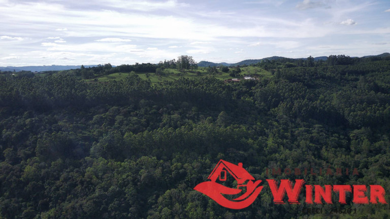 Imagem Chácara à Venda, 70 m² em Morro Grande - Linha Nova Imagem Chácara à Venda, 70 m² em Morro Grande - Linha Nova