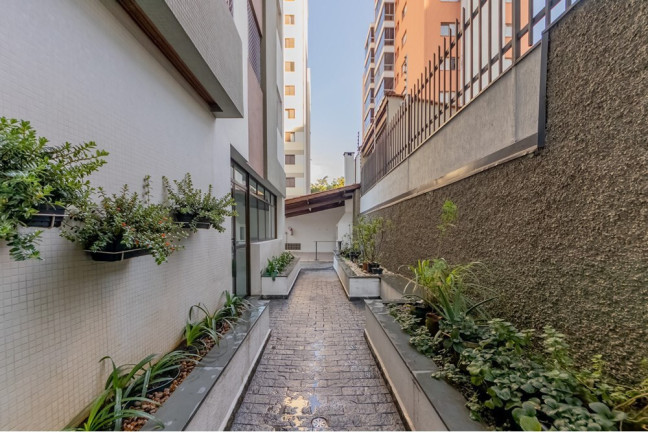 Imagem Apartamento com 3 Quartos à Venda, 84 m² em Vila Monte Alegre - São Paulo Imagem Apartamento com 3 Quartos à Venda, 84 m² em Vila Monte Alegre - São Paulo