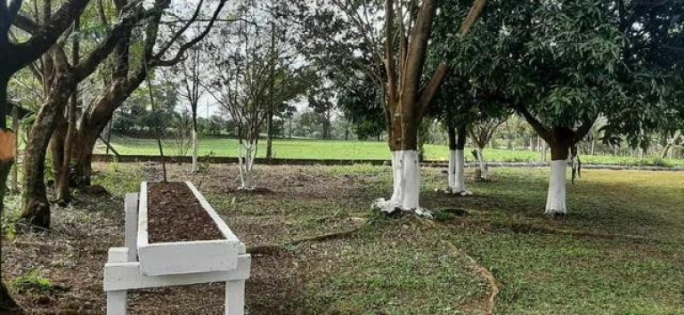 Imagem Chácara com 3 Quartos à Venda, 31.000 m² em Centro - Tamarana