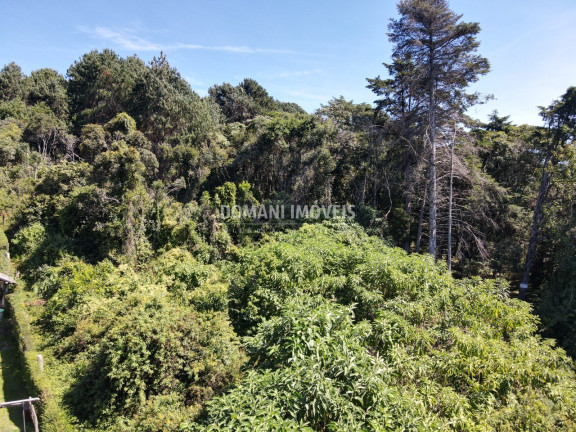 Imagem Terreno à Venda, 2.520 m² em Região Do Alto Da Boa Vista - Campos Do Jordão Imagem Terreno à Venda, 2.520 m² em Região Do Alto Da Boa Vista - Campos Do Jordão