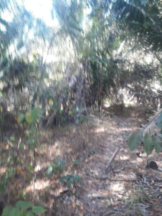 Imagem Chácara com 4 Quartos à Venda, em área Rural Do Norte De Minas - Montes Claros Imagem Chácara com 4 Quartos à Venda, em área Rural Do Norte De Minas - Montes Claros