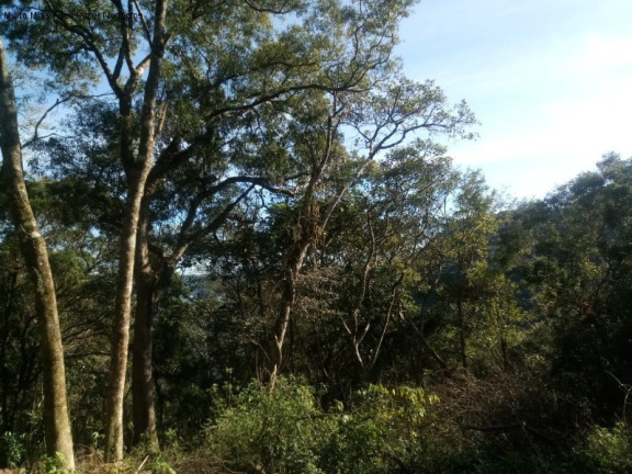 Imagem Terreno à Venda, 1.646 m² em Pousada Da Neve - Nova Petrópolis Imagem Terreno à Venda, 1.646 m² em Pousada Da Neve - Nova Petrópolis