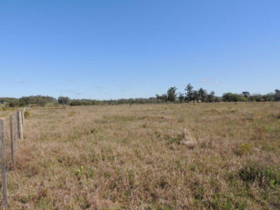 Imagem Terreno à Venda, 1.000 m² em Morro Grande - Viamão