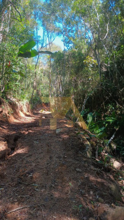 Imagem Terreno à Venda, em Sertão Do Canguiri - Imaruí Imagem Terreno à Venda, em Sertão Do Canguiri - Imaruí