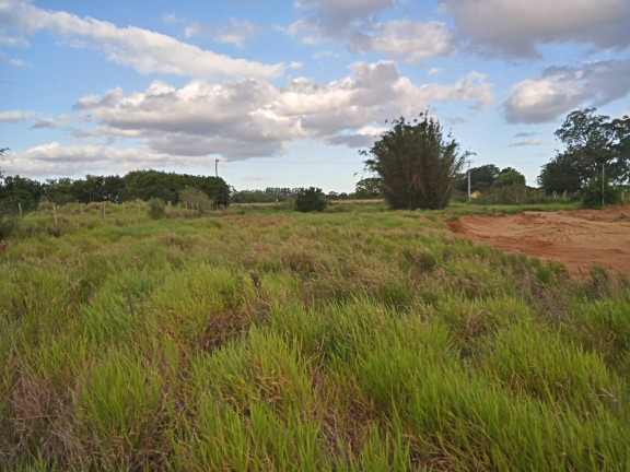 Imagem Chácara à Venda, 20.000 m² em águas Claras - Viamão Imagem Chácara à Venda, 20.000 m² em águas Claras - Viamão