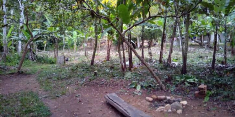 Imagem Terreno à Venda, 3.500 m² em Cambuca - Ubatuba Imagem Terreno à Venda, 3.500 m² em Cambuca - Ubatuba