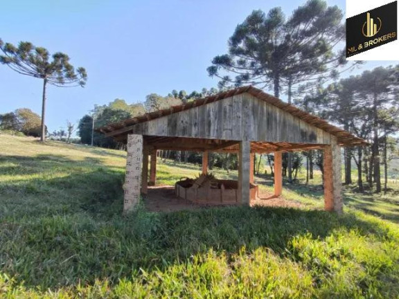 Imagem Imóvel com 2 Quartos à Venda, 20.000 m² em Zona Rural - Balsa Nova