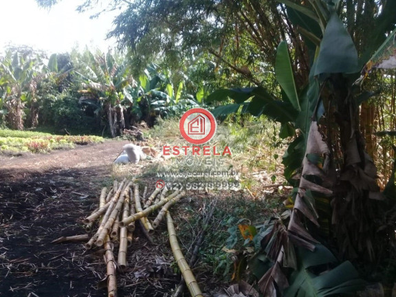 Imagem Imóvel à Venda, 4.300 m² em Santa Cruz Dos Lazaros - Jacareí Imagem Imóvel à Venda, 4.300 m² em Santa Cruz Dos Lazaros - Jacareí