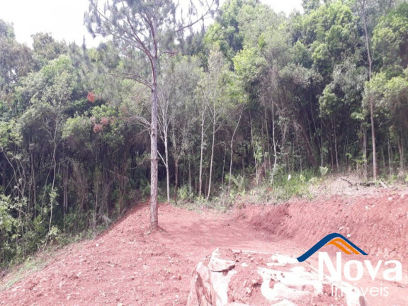 Imagem Imóvel à Venda, 31.701 m² em Linha Pirajá Baixa - Nova Petrópolis