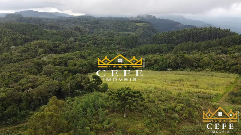 Imagem Sala Comercial à Venda, 200 m² em Serra Grande - Três Coroas Imagem Sala Comercial à Venda, 200 m² em Serra Grande - Três Coroas