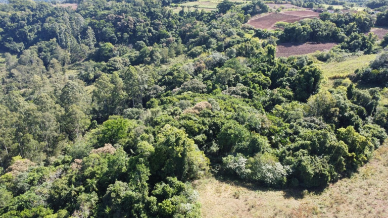 Imagem Chácara à Venda, 77.000 m² em Zona Rural - Passo Do Sobrado Imagem Chácara à Venda, 77.000 m² em Zona Rural - Passo Do Sobrado