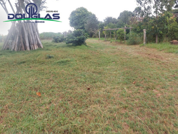 Imagem Chácara à Venda, 20.000 m² em Viamão Imagem Chácara à Venda, 20.000 m² em Viamão