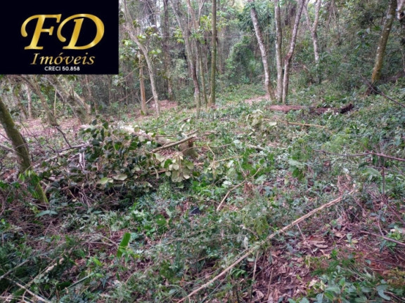 Imagem Terreno à Venda, 350 m² em Parque Cabreúva - Mairiporã Imagem Terreno à Venda, 350 m² em Parque Cabreúva - Mairiporã