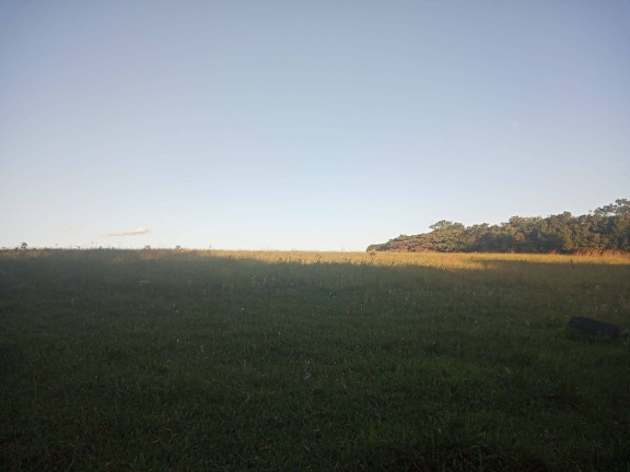 Imagem Chácara à Venda, 47.000 m² em Itapuã - Viamão Imagem Chácara à Venda, 47.000 m² em Itapuã - Viamão